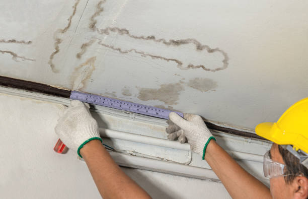 Reliable Mold Remediation contractor in Strawn, TX by Water Damage Irwin